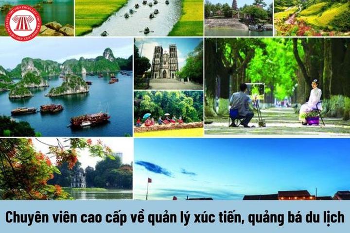 Tận hưởng FIFA Club World Cup - Cảm hứng video marketing từ Hotspot Matrix