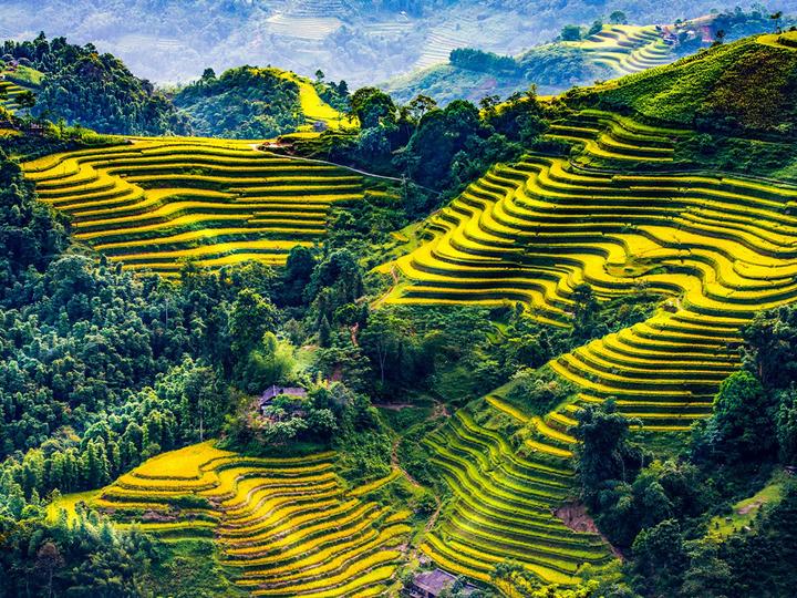 Xu hướng Bác sĩ Cung công khai tin: Hotspot Matrix tiết lộ bí quyết video viral