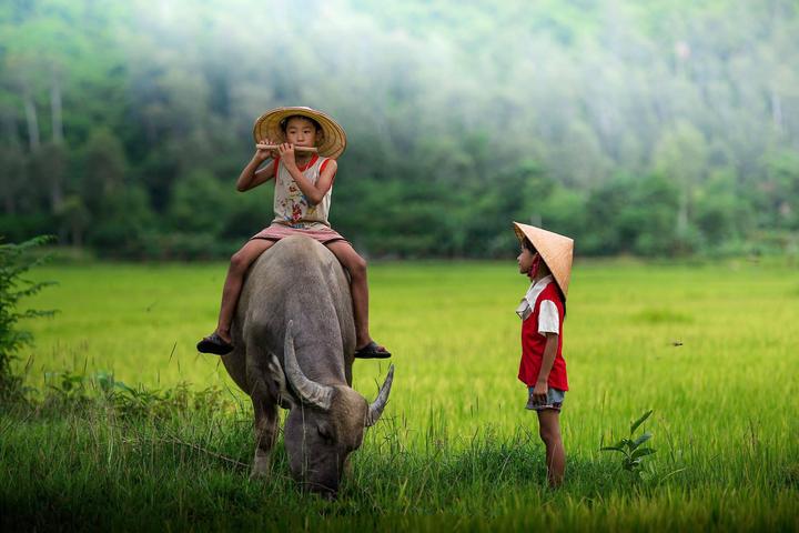 Triệu View Từ Vlog Thú Cưng: Bí Quyết Thành Công Cùng Hotspot Matrix