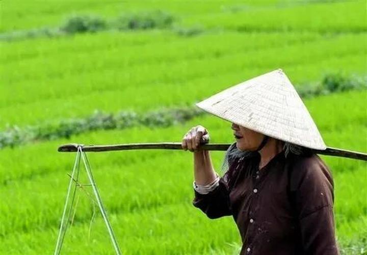 Phụ huynh “bắt trend”: Chọn - Cảm hứng video marketing từ Hotspot Matrix
